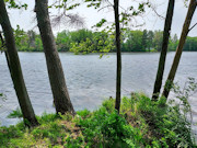6.5-Acre Lakefront Property with Peninsula - Sparta, WI