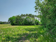6.5-Acre Lakefront Property with Peninsula - Sparta, WI