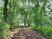 4 Acres of Waterfront Land for Sale in Monroe County, WI