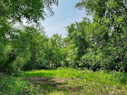 4 Acres of Waterfront Land for Sale in Monroe County, WI