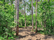 4 Acres of Waterfront Land for Sale in Monroe County, WI