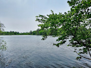 4 Acres of Waterfront Land for Sale in Monroe County, WI