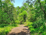 2.6-Acre Lakefront Property Near Sparta, WI