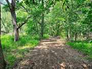 2.6-Acre Lakefront Property Near Sparta, WI