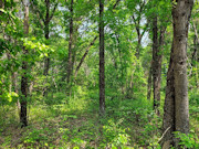 2.6-Acre Lakefront Property Near Sparta, WI