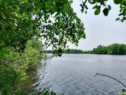 2.6-Acre Lakefront Property Near Sparta, WI