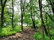 3.2-Acre Waterfront Property for Sale in Monroe County, WI
