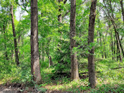 3.2-Acre Waterfront Property for Sale in Monroe County, WI