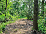 3.2-Acre Waterfront Property for Sale in Monroe County, WI