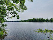 Lakefront Property for Sale in Sparta, WI - 3 Acres with 214' Shoreline Lakefront Property for Sale in Sparta, WI - 3 Acres with 214' Shoreline