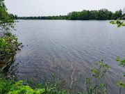 Lakefront Property for Sale in Sparta, WI - 3 Acres with 214' Shoreline Lakefront Property for Sale in Sparta, WI - 3 Acres with 214' Shoreline