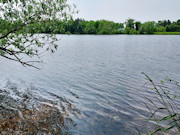 Lakefront Property for Sale in Sparta, WI - 3 Acres with 214' Shoreline Lakefront Property for Sale in Sparta, WI - 3 Acres with 214' Shoreline