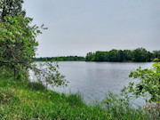 Lakefront Property for Sale in Sparta, WI - 3 Acres with 214' Shoreline Lakefront Property for Sale in Sparta, WI - 3 Acres with 214' Shoreline