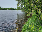 Lakefront Property for Sale in Sparta, WI - 3 Acres with 214' Shoreline Lakefront Property for Sale in Sparta, WI - 3 Acres with 214' Shoreline