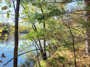 4.2 Acres Wooded Land with 214' of Lakefront!