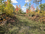 1.7 Acres & 106 Feet of Lakefront near Conover, WI