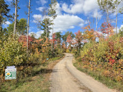1.7 Acres & 106 Feet of Lakefront near Conover, WI 1.7 Acres & 106 Feet of Lakefront near Conover, WI