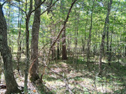 16+ Acres of Secluded Wisconsin River Waterfront Near Lake Tomahawk