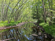 Waterfront Cabin Retreat on 4+ Acres in Wisconsin's Northwoods Waterfront Cabin Retreat on 4+ Acres in Wisconsin's Northwoods