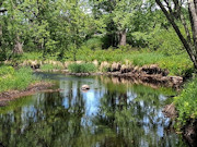 Waterfront Cabin Retreat on 4+ Acres in Wisconsin's Northwoods Waterfront Cabin Retreat on 4+ Acres in Wisconsin's Northwoods