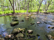 Prime Hunting, Fishing & Cabin Land Near Tomahawk, WI