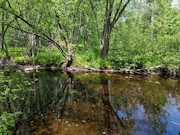 Prime Hunting, Fishing & Cabin Land Near Tomahawk, WI