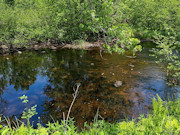 Prime Hunting, Fishing & Cabin Land Near Tomahawk, WI Prime Hunting, Fishing & Cabin Land Near Tomahawk, WI