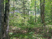 Prime Hunting, Fishing & Cabin Land Near Tomahawk, WI Prime Hunting, Fishing & Cabin Land Near Tomahawk, WI