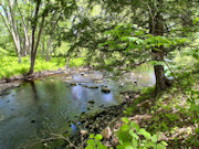 Prime Hunting, Fishing & Cabin Land Near Tomahawk, WI Prime Hunting, Fishing & Cabin Land Near Tomahawk, WI