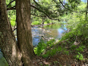 Prime Hunting, Fishing & Cabin Land Near Tomahawk, WI Prime Hunting, Fishing & Cabin Land Near Tomahawk, WI