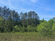 Wisconsin Hunting & Fishing Land for Sale - 10 Acres on the Somo River Wisconsin Hunting & Fishing Land for Sale - 10 Acres on the Somo River