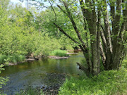 Wisconsin Hunting & Fishing Land for Sale - 10 Acres on the Somo River Wisconsin Hunting & Fishing Land for Sale - 10 Acres on the Somo River