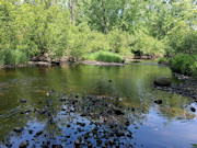 Wisconsin Hunting & Fishing Land for Sale - 10 Acres on the Somo River Wisconsin Hunting & Fishing Land for Sale - 10 Acres on the Somo River