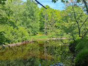 10 Wooded Acres with Somo River Frontage in Wisconsin's Northwoods