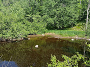 10 Wooded Acres with Somo River Frontage in Wisconsin's Northwoods