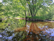 10 Wooded Acres with Somo River Frontage in Wisconsin's Northwoods 10 Wooded Acres with Somo River Frontage in Wisconsin's Northwoods