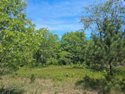 10 Wooded Acres with Somo River Frontage in Wisconsin's Northwoods 10 Wooded Acres with Somo River Frontage in Wisconsin's Northwoods