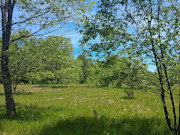 10 Wooded Acres with Somo River Frontage in Wisconsin's Northwoods 10 Wooded Acres with Somo River Frontage in Wisconsin's Northwoods