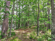 Rhinelander, WI Lakefront Property - 120' Sandy Beach!