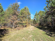 3-Acre Wisconsin Getaway Near Lake Petenwell & Public Land