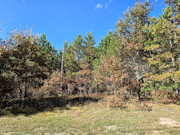 3-Acre Wisconsin Getaway Near Lake Petenwell & Public Land 3-Acre Wisconsin Getaway Near Lake Petenwell & Public Land