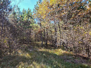 3-Acre Wisconsin Getaway Near Lake Petenwell & Public Land 3-Acre Wisconsin Getaway Near Lake Petenwell & Public Land