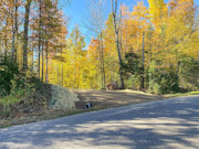 15-Acre Wooded Hunting Land For Sale Near Park Falls, WI