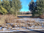 View the New Listing