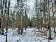 3.6-Acre Wooded Land Near Phillips, WI