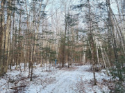 3.6-Acre Wooded Land Near Phillips, WI