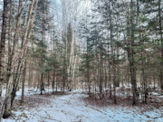 3.6-Acre Wooded Land Near Phillips, WI