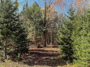 3+ Acres of Secluded Lakeview Land for Sale near Phillips, WI