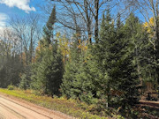 3+ Acres of Secluded Lakeview Land for Sale near Phillips, WI