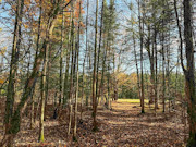 3+ Acres of Secluded Lakeview Land for Sale near Phillips, WI